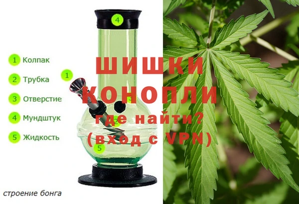 ECSTASY Вязьма