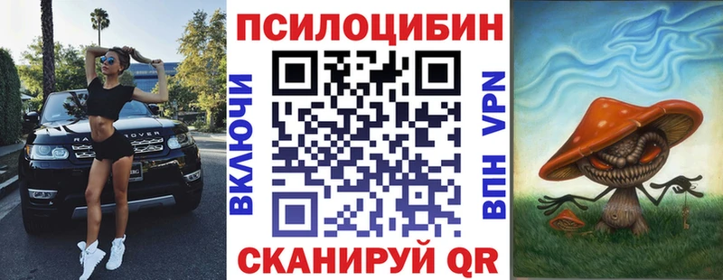 Псилоцибиновые грибы Psilocybe  Купить закладки  Кологрив 